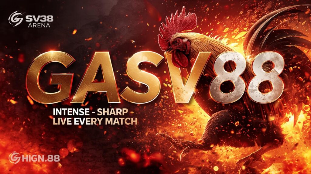 Lịch đá gà hôm nay – Cập nhật nhanh các trận đấu hấp dẫn tại GASV88